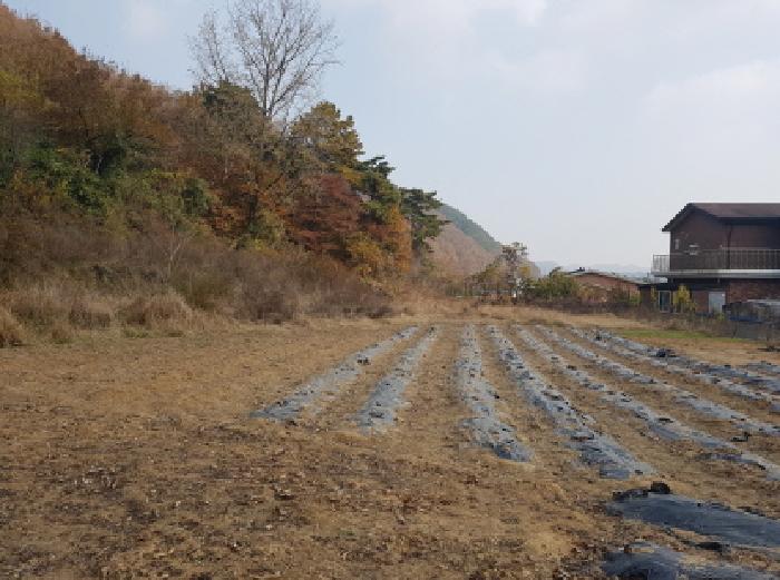 충남 천안시 동남구 광덕면 전답 경매 물건 사진 2 · 2025타경766