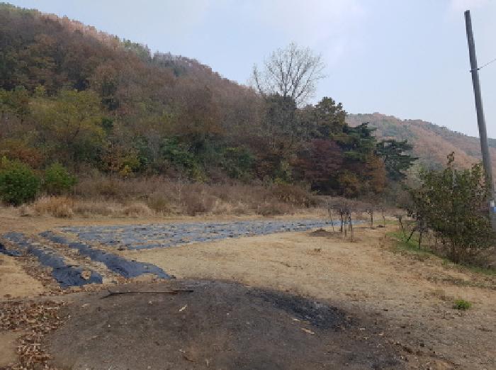 충남 천안시 동남구 광덕면 전답 경매 물건 사진 3 · 2025타경766