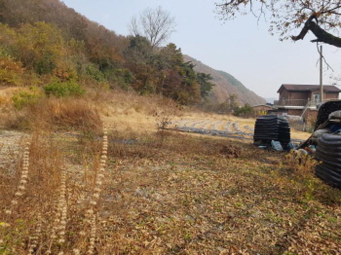 충남 천안시 동남구 광덕면 전답 경매 물건 사진 4 · 2025타경766