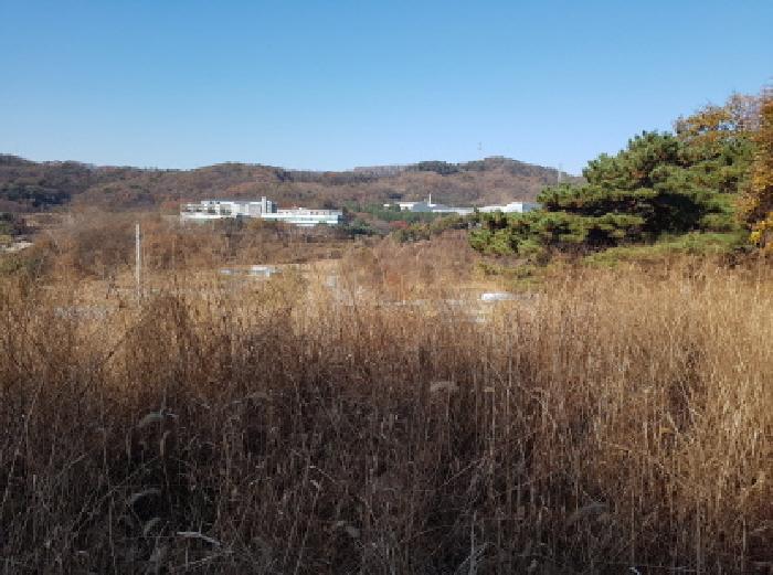 충남 천안시 동남구 목천읍 대지 경매 물건 사진