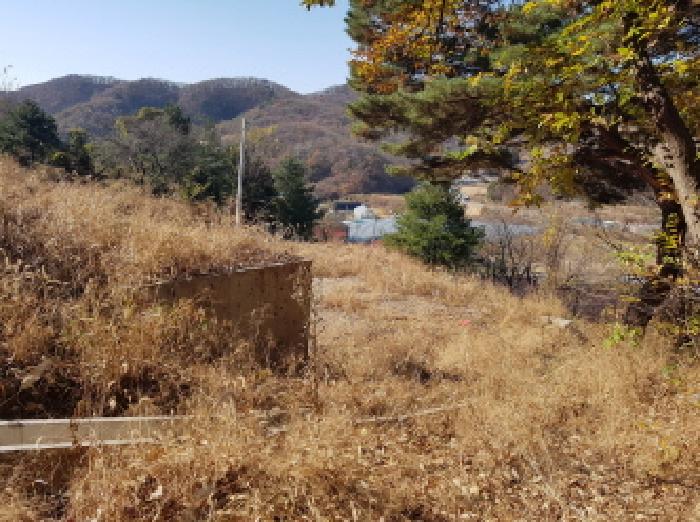 충남 천안시 동남구 목천읍 대지 경매 물건 사진 2 · 2025타경772