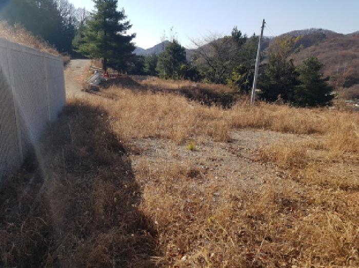 충남 천안시 동남구 목천읍 대지 경매 물건 사진 3 · 2025타경772