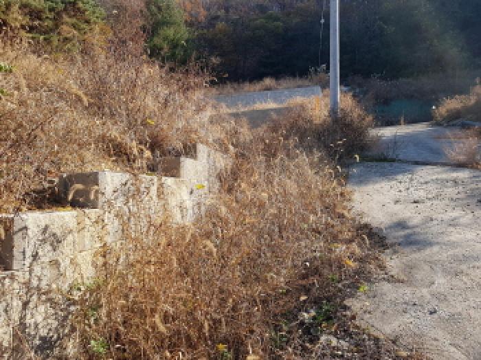 충남 천안시 동남구 목천읍 대지 경매 물건 사진 5 · 2025타경772