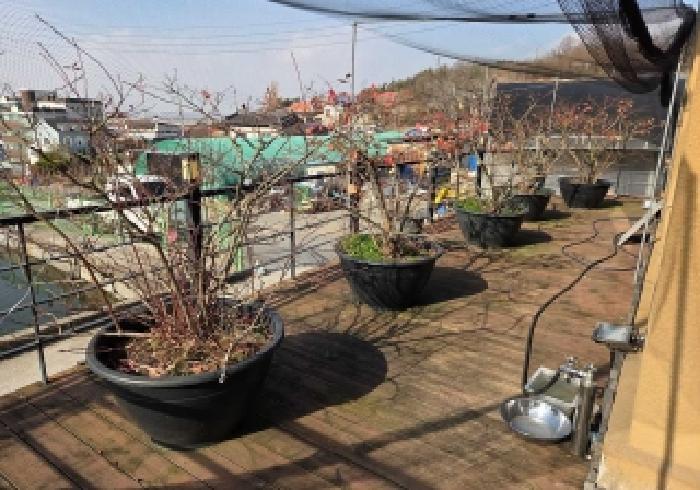 충남 아산시 도고면 단독주택 경매 물건 사진 3 · 2025타경775