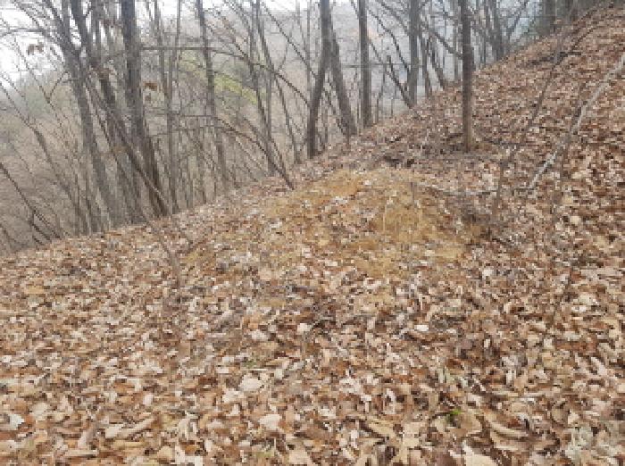 충남 천안시 동남구 북면 임야 경매 물건 사진 2 · 2025타경779