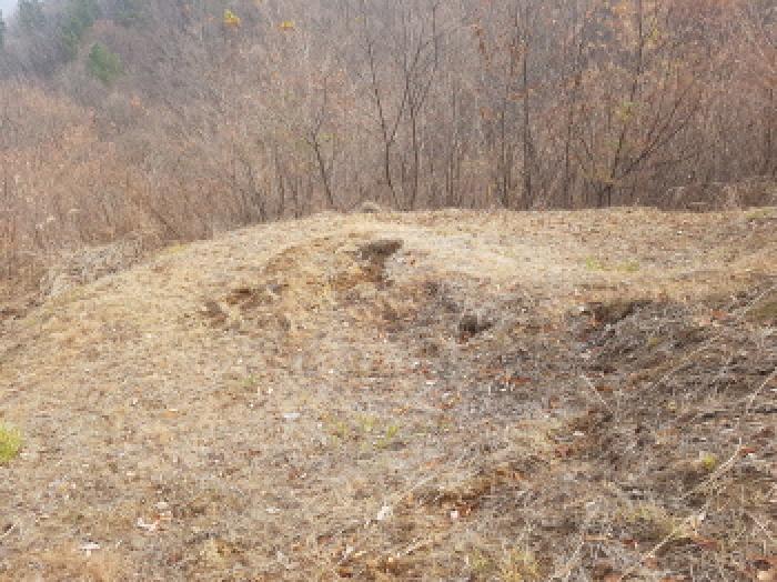 충남 천안시 동남구 북면 임야 경매 물건 사진 3 · 2025타경779