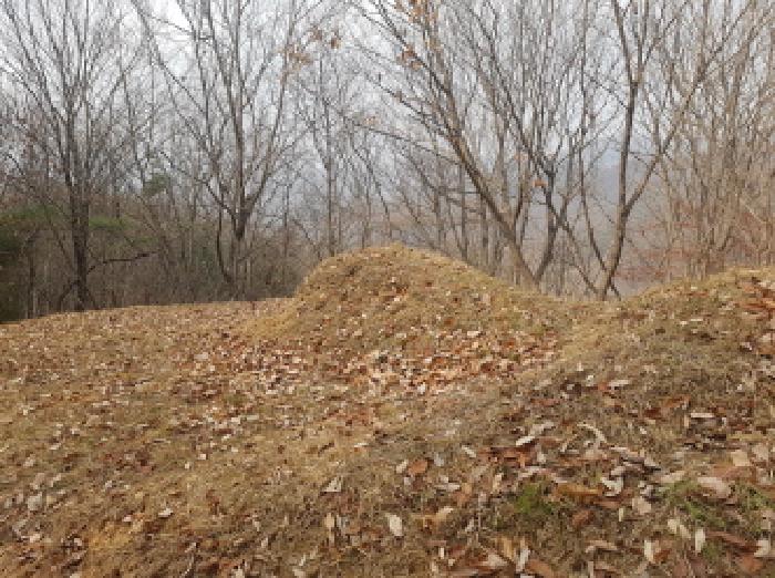 충남 천안시 동남구 북면 임야 경매 물건 사진 4 · 2025타경779