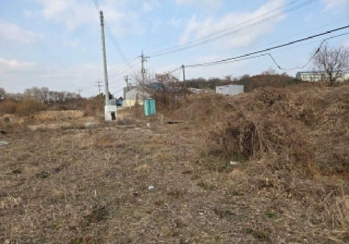 충남 아산시 인주면 전답 경매 물건 사진 2 · 2025타경803