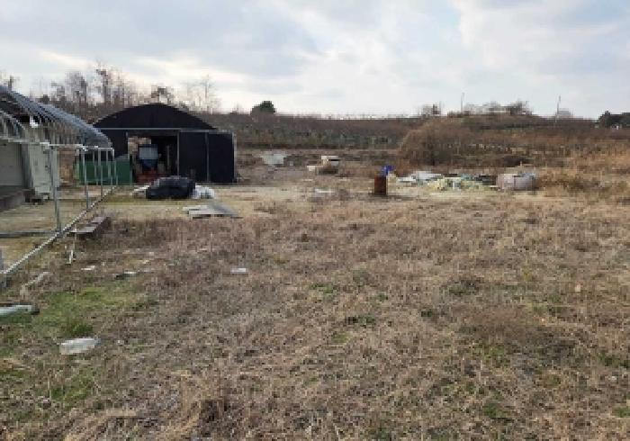 충남 아산시 인주면 전답 경매 물건 사진 3 · 2025타경803