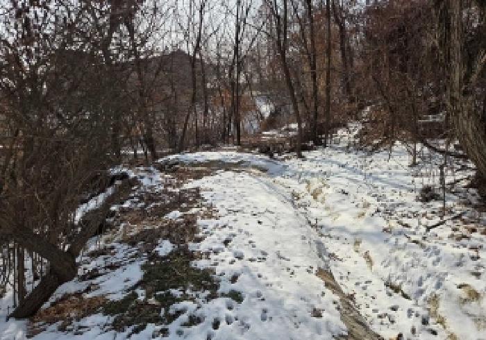 충남 아산시 신창면 임야 경매 물건 사진 2 · 2025타경843