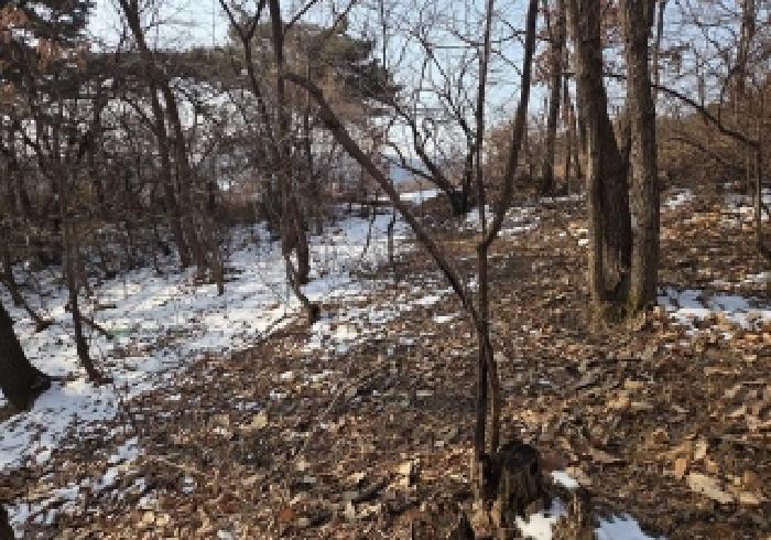 충남 아산시 신창면 임야 경매 물건 사진 3 · 2025타경843
