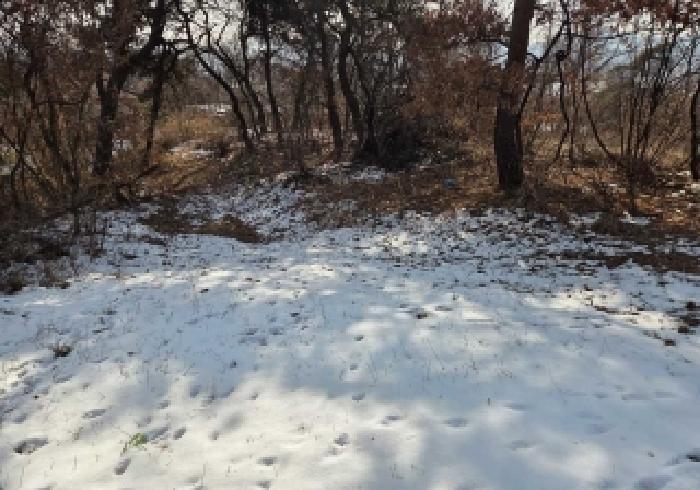 충남 아산시 신창면 임야 경매 물건 사진 5 · 2025타경843