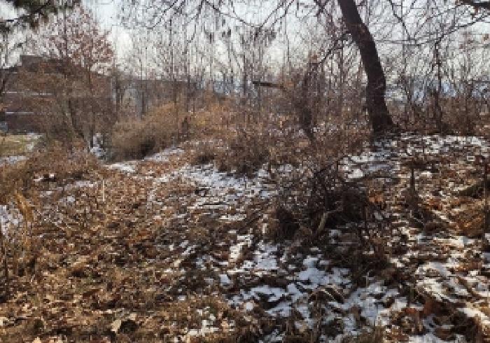 충남 아산시 신창면 임야 경매 물건 사진 6 · 2025타경843