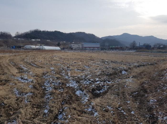 충남 천안시 동남구 광덕면 전답 경매 물건 사진