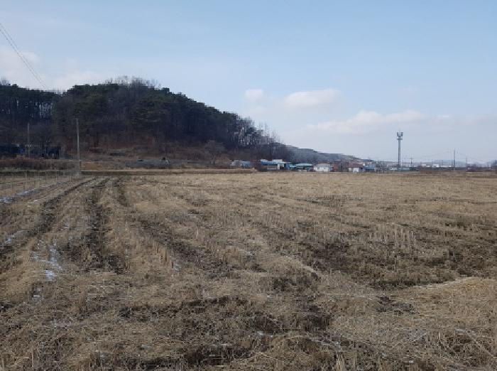 충남 천안시 동남구 광덕면 전답 경매 물건 사진 3 · 2026타경10006