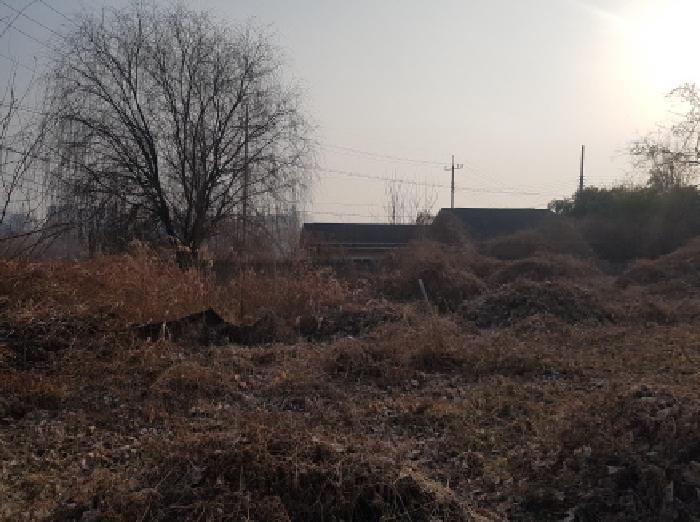 충남 천안시 서북구 차암동 대지,임야,전답 경매 물건 사진