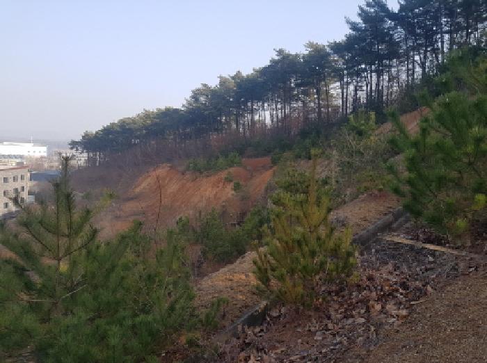 충남 천안시 동남구 풍세면 도로 경매 물건 사진