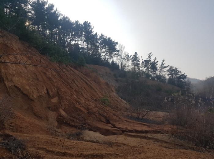 충남 천안시 동남구 풍세면 도로 경매 물건 사진 2 · 2026타경10030