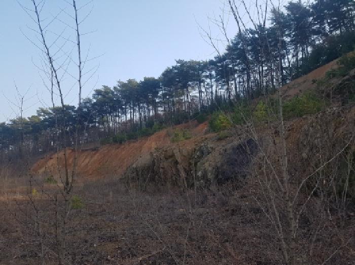충남 천안시 동남구 풍세면 도로 경매 물건 사진 3 · 2026타경10030