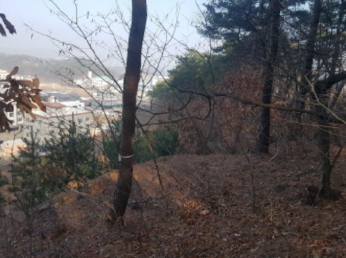 충남 천안시 동남구 풍세면 도로 경매 물건 사진 4 · 2026타경10030
