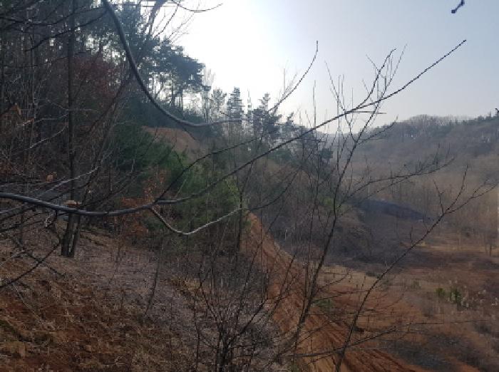 충남 천안시 동남구 풍세면 도로 경매 물건 사진 5 · 2026타경10030