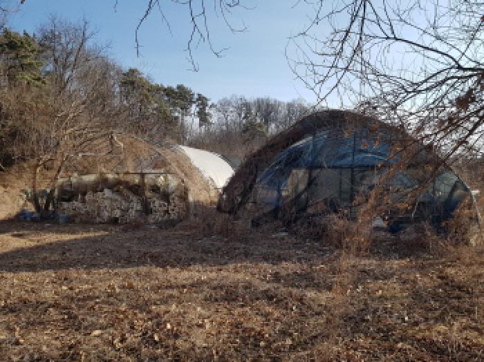 충남 천안시 동남구 풍세면 전 경매 물건 사진 4 · 2026타경10126