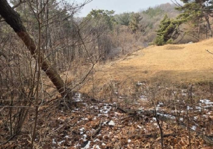 충남 아산시 신창면 임야 경매 물건 사진 3 · 2026타경10183