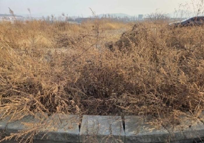 충남 아산시 둔포면 대지,임야,전답 경매 물건 사진 4 · 2026타경10187