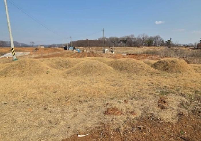 충남 아산시 신창면 전답 경매 물건 사진 3 · 2026타경10280