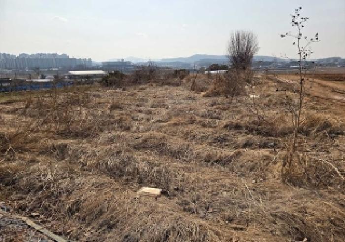 충남 아산시 신창면 전답 경매 물건 사진 6 · 2026타경10280