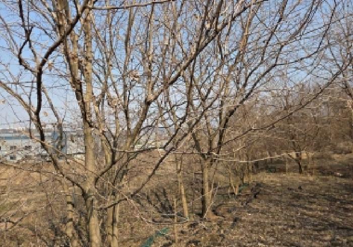 충남 아산시 음봉면 전답 경매 물건 사진 5 · 2026타경10333