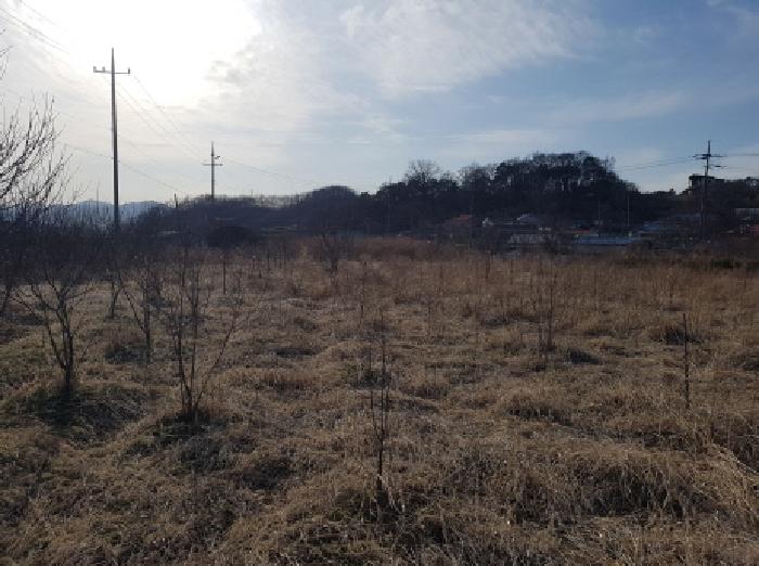충남 천안시 동남구 풍세면 대지,임야,전답 경매 물건 사진
