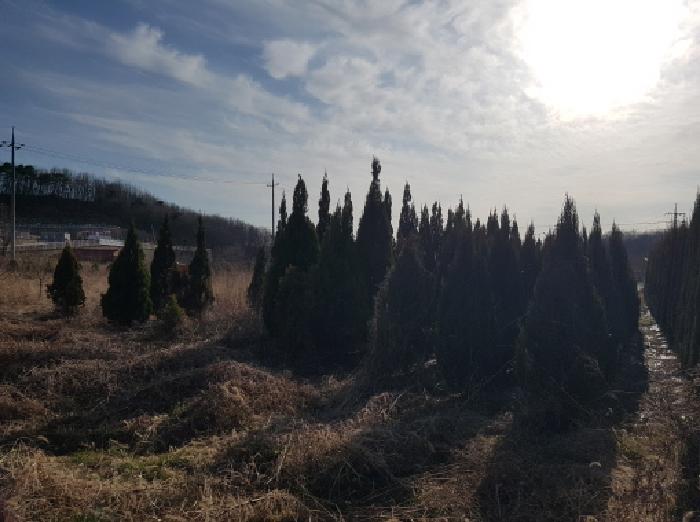 충남 천안시 동남구 풍세면 대지,임야,전답 경매 물건 사진 2 · 2026타경10363