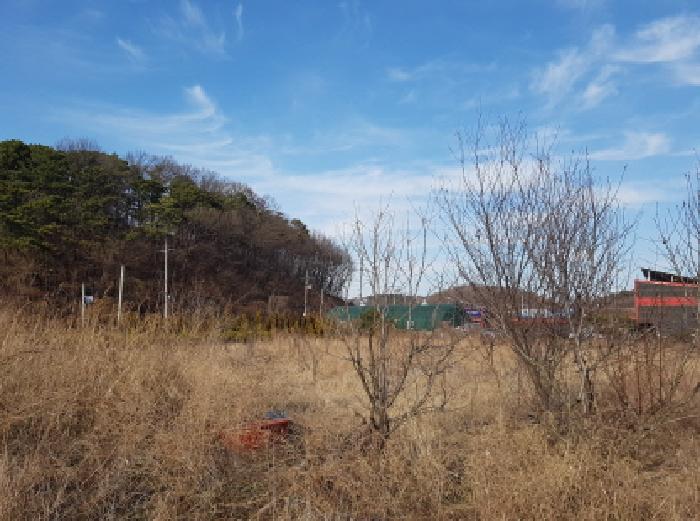 충남 천안시 동남구 풍세면 대지,임야,전답 경매 물건 사진 4 · 2026타경10363
