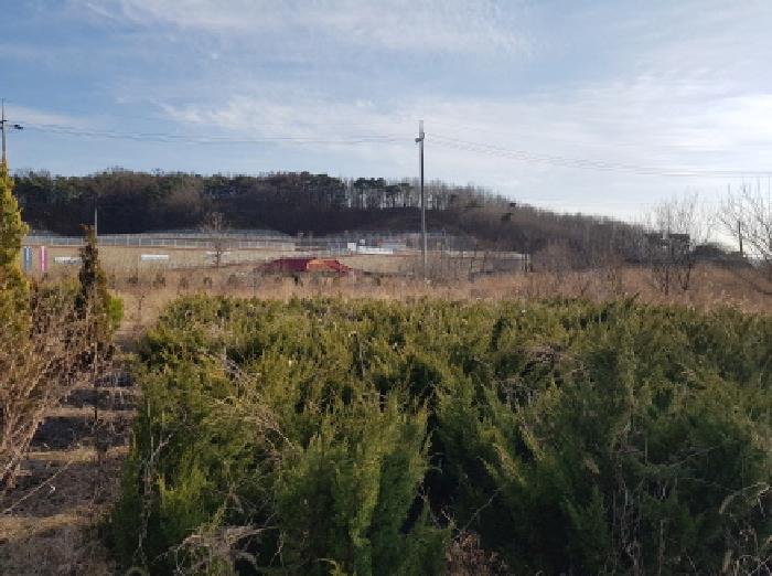 충남 천안시 동남구 풍세면 대지,임야,전답 경매 물건 사진 5 · 2026타경10363