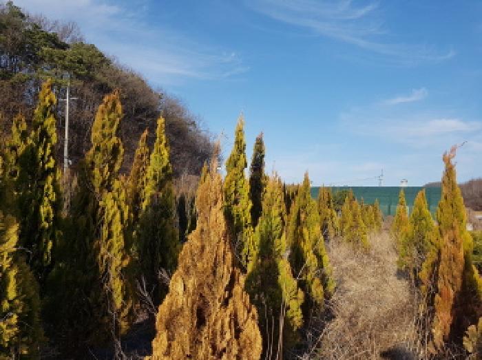 충남 천안시 동남구 풍세면 대지,임야,전답 경매 물건 사진 6 · 2026타경10363