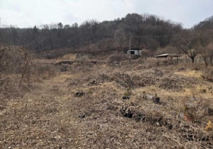 충남 아산시 초사동 임야 경매 물건 사진 3 · 2026타경10390
