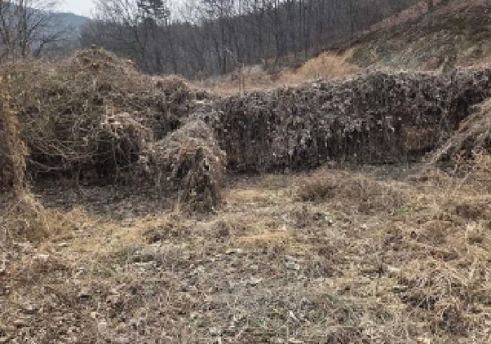 충남 아산시 초사동 임야 경매 물건 사진 4 · 2026타경10390