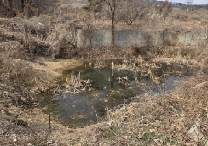 충남 아산시 초사동 임야 경매 물건 사진 5 · 2026타경10390