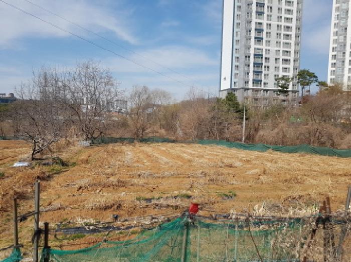 충남 천안시 서북구 성정동 상가,오피스텔,근린시설 경매 물건 사진 2 · 2026타경10435