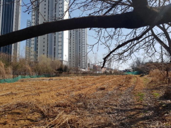충남 천안시 서북구 성정동 상가,오피스텔,근린시설 경매 물건 사진 3 · 2026타경10435