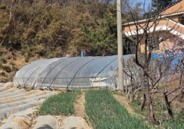충남 아산시 배방읍 대지 경매 물건 사진 5 · 2026타경10486