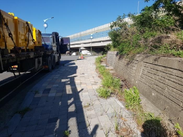 충남 천안시 동남구 구룡동 임야 경매 물건 사진