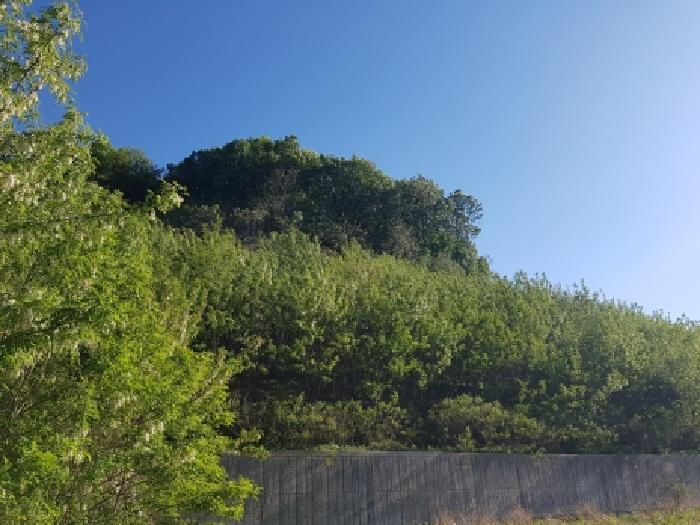 충남 천안시 동남구 구룡동 임야 경매 물건 사진 2 · 2026타경10720
