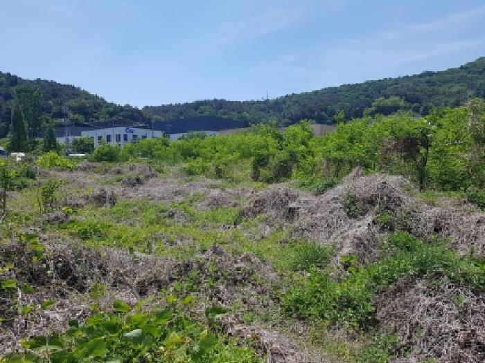 충남 천안시 동남구 풍세면 대지,임야,전답 경매 물건 사진
