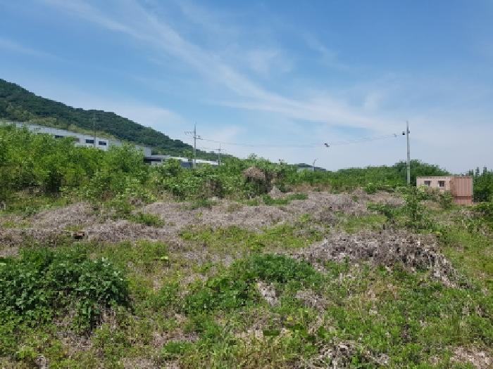 충남 천안시 동남구 풍세면 대지,임야,전답 경매 물건 사진 2 · 2026타경10808