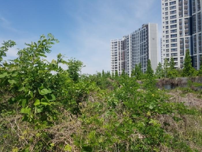 충남 천안시 동남구 풍세면 대지,임야,전답 경매 물건 사진 3 · 2026타경10808