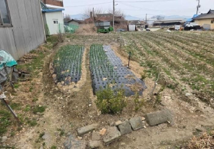 충남 아산시 선장면 대지,임야,전답 경매 물건 사진 2 · 2026타경118