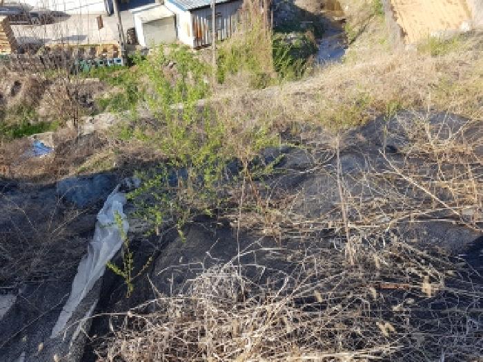 충남 천안시 동남구 목천읍 대지,임야,전답 경매 물건 사진 5 · 2026타경127