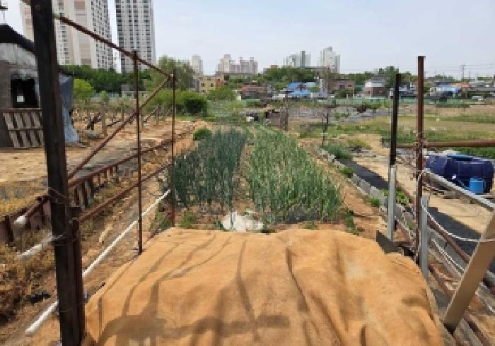 충남 아산시 실옥동 전답 경매 물건 사진